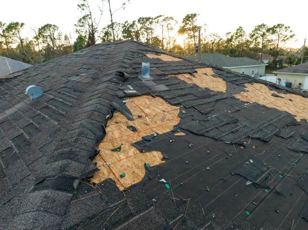 Best Roof Ventilation Installation  in Benavides, TX